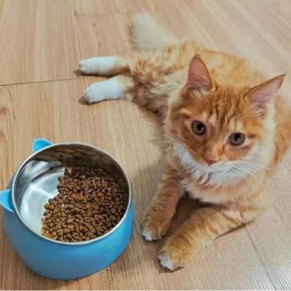 Blue 200ml - New -Raised Cat Bowls, Tilted Stainless Steel Cat Food Bowls - Picture 4 of 8